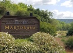 Wine Taste at Martorana Family Winery, Healdsburg, California