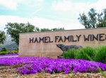 Wine Taste at Hamel Family Wines, Sonoma, California