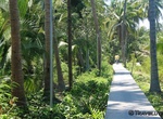 Visit Sri Nakhon Khuean Khan Park and Botanical Garden, Bangkok, Thailand