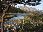 Explore Tierra del Fuego National Park, Argentina