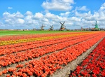 Visit Lisse, Netherlands