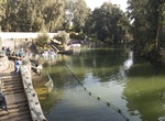 Visit Yardenit Baptismal Site, Israel
