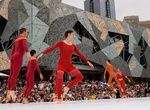Attend Perth International Arts Festival