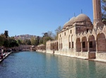 Visit Pool of Sacred Fish (Balıklıgöl), Urfa (Şanlıurfa), Turkey