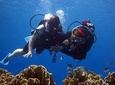 Day Tour Diving Nha Trang At Hon Mun Island