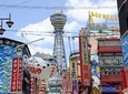 Osaka Private Tour by Public Transportation