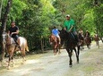 Horseback, Ziplines and Swim in a Cenote