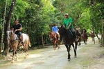 Horseback, Ziplines and Swim in a Cenote