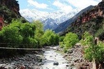 Small Group Half Day Trip to the Hight Atlas mountains 7 PERSON