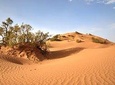 Multi-Day Private Tour From Marrakech to Erg Chigaga 3 Days