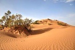 Multi-Day Private Tour From Marrakech to Erg Chigaga 3 Days