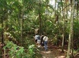 Panama City Metropolitan Park Trail Tour
