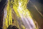 Ubud Swing, Rice Terrace and Waterfall Highlights Tour
