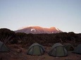 Lemosho route climbing Kilimanjaro 8 Days