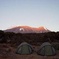 Lemosho route climbing Kilimanjaro 8 Days