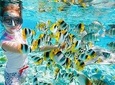 Giftun Island Snorkeling Trip with Lunch
