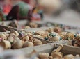 Exploring the Colorful Markets: Shopping tour of Jaipur with Transfers