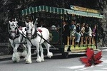 Best Selling Vancouver Sightseeing Tour/Best 5 Hours in vancouver private