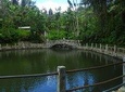 Natural River Pool Off The Beaten Path and Luquillo Beach Combo