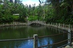 Natural River Pool Off The Beaten Path and Luquillo Beach Combo