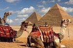 private tour Giza Pyramids, Sphinx and Sakkara with Camel ride 