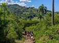 Puerto Plata: Mountain Half Day Horseback Riding