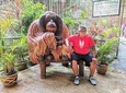 Ipoh City Tour With Orang Utan Island
