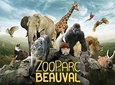 Zoo Of Beauval - Private Trip