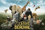 Zoo Of Beauval - Private Trip