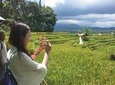Explore The Original of Bali Nature with Kastala Trekking Including Lunch
