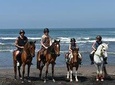 Amazing Private Tour: Horse riding-Kintamani volcano-Tegalalang-Tirta empul