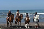 Amazing Private Tour: Horse riding-Kintamani volcano-Tegalalang-Tirta empul