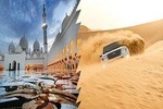 Abu Dhabi City Tour and Desert Safari