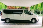 Waikoloa beach hotels to Kona Intl. Airport (KOA) - Departure Private Transfer