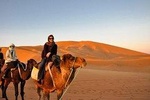 Camel Ride And Overnight in The Sahara Desert