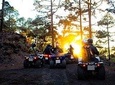 Quad Trip Forestal Explorer in TEIDE NATIONAL PARK