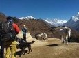 Everest Base Camp Trek