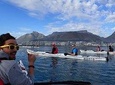 Kayak Adventure in Cape Town, Table Mountain National Reserve