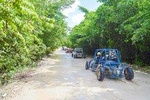 Buggys & Polaris -Best Way to Explore Punta Cana