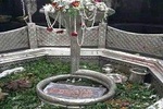 Pinddaan at Gaya