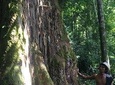 Ronie's jungle trek bukit lawang