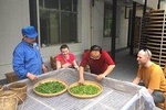 4 Days Zhangjiajie Experience Tour(Hand-picked Featured Inn)