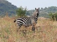 Trekking - Nechisar National Park (5 days)