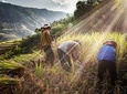 4-day Trekking in Ha Giang - Tay Con Linh