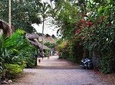 Private transportation service from Santa Marta to Palomino