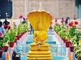 All Inclusive 3-hour tour of Sarnath from Varanasi w/ Hotel Pick-up and drop-off
