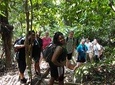 Forest Research Institute Malaysia (FRIM) Nature Trekking Tour