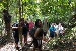Forest Research Institute Malaysia (FRIM) Nature Trekking Tour