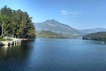 5 Days Premium Kerala Tour Package - Private Tour with Exclusive Houseboat Stay