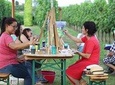 Art Experience with Food and Wine Tasting in Lazise